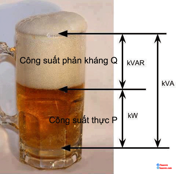 Suất phản điện